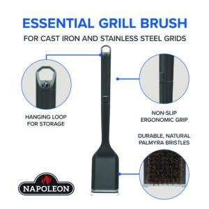 Palmyra Natural Bristle Brush